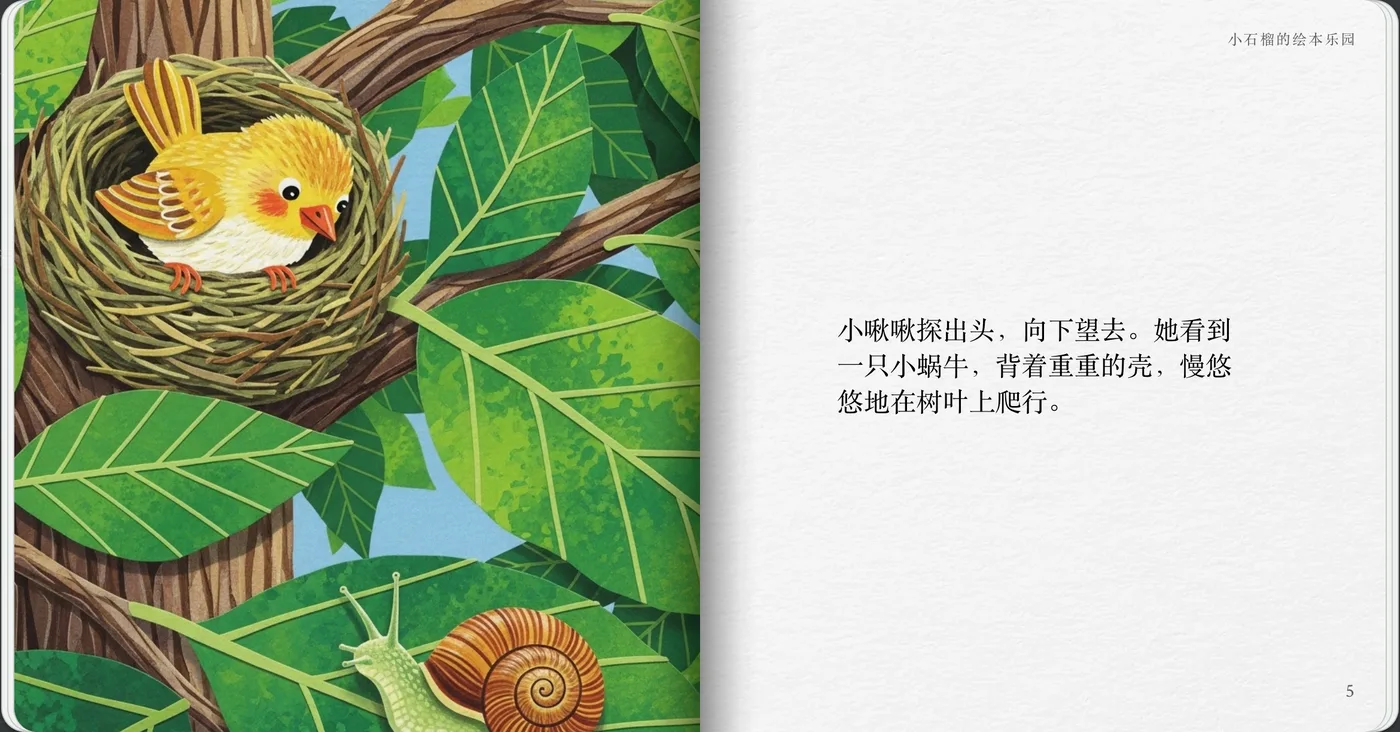 小啾啾的第一次飞行 5